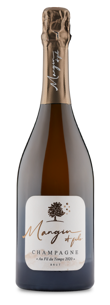 MANGIN AU FIL DU TEMP